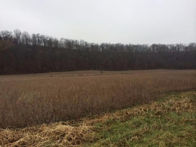 363 Holt Ln, Frankfort, KY 40601 - photo 3