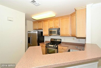 4514 Superior Square, Fairfax, VA 22033 - photo 7