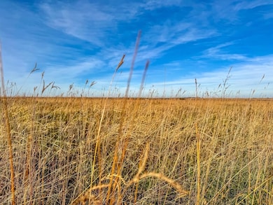 000 P Rd, Eureka, KS 67045 - photo 6