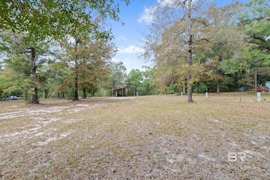 19035 Joan Harris Rd, Mount Vernon, AL 36560 - photo 3