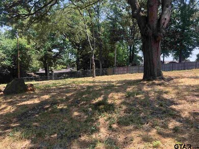 2820 Robertson Rd, Tyler, TX 75701 - photo 4