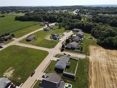 501 Bluff Meadows Dr, Valmeyer, IL 62295 - photo 3