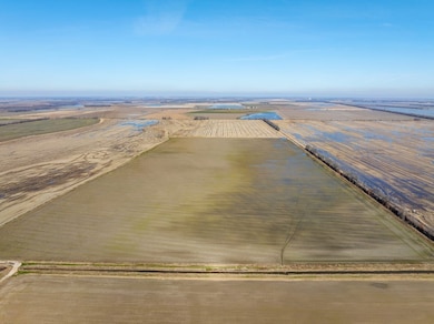 0 County Road 136, Hickory Ridge, AR 72347 - photo 5