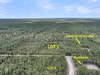 2043 Silas Rd, McClellanville, SC 29458 - photo 5