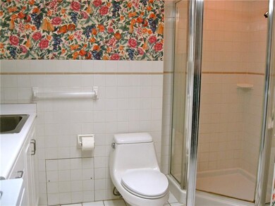 LOWER FULL BATHROOM JUST OFF THE FAMILY ROOM, COMP