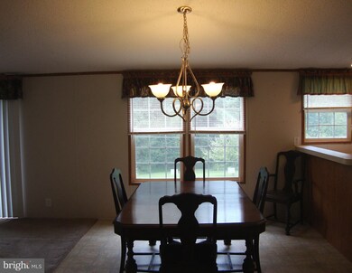 42 Batman Hill Rd, Luray, VA 22835 - photo 5