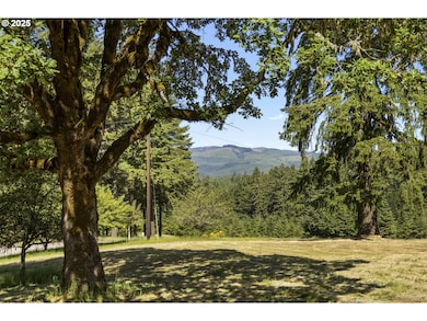 20766 NW Fairdale Rd, Yamhill, OR 97148 - photo 6