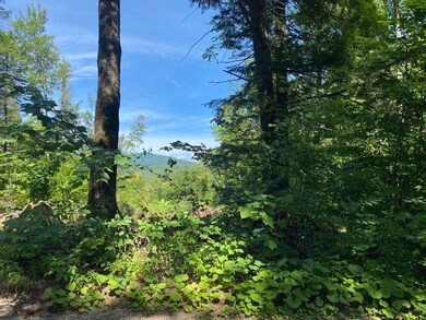 63-11-7 Ossipee Mountain Rd unit 63/11-7, Ossipee, NH 03864 - photo 3