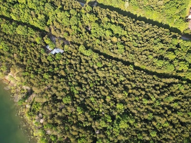 20240502133547877820000000-o