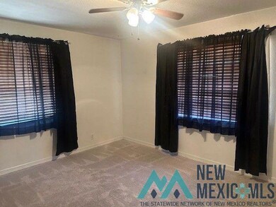1108 N Guadalupe St, Carlsbad, NM 88220 - photo 5