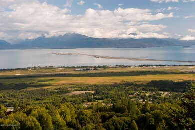 Homer Spit