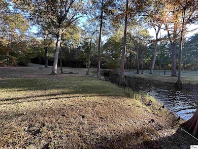 000 Hurricane Creek Rd, Downsville, LA 71234 - photo 3