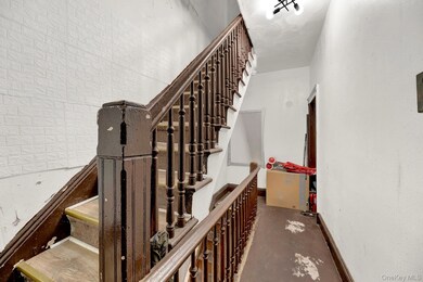 443 Marion St, Brooklyn, NY 11233 - photo 6