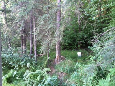 Back area
