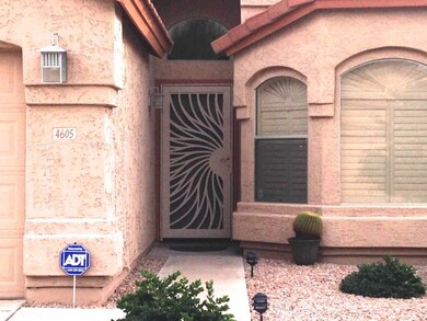 Security Door