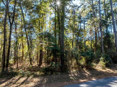 0 Pintail Lot 7, Flint, TX 75762 - photo 7