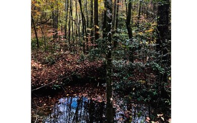 LT 6 Pleasant Oak Trail, Ellijay, GA 30540 - photo 2