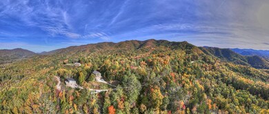 168 Laramie Heights, Andrews, NC 28901 - photo 4