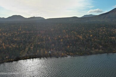 L1B1 Grizzly Rd, Aleknagik, AK 99555 - photo 7