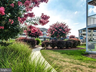 36519 Palm Dr, Rehoboth Beach, DE 19971 - photo 3