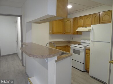 21 Main St unit 3, Mohnton, PA 19540 - photo 4