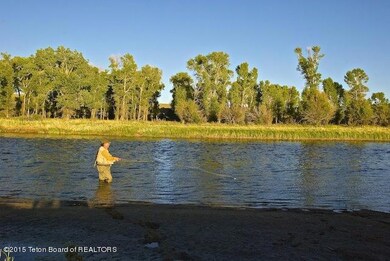 Paradise on New Fork