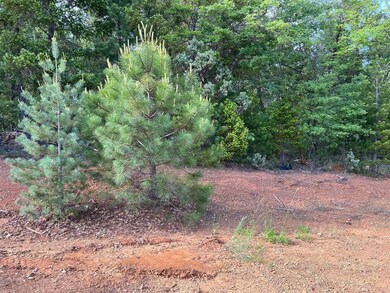 341 Cedar Ridge, Cave Junction, OR 97523 - photo 6