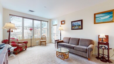 370 Farrell St unit 308, South Burlington, VT 05403 - photo 7