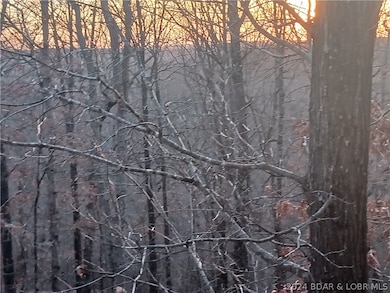 TBD Fresno Rd, Versailles, MO 65084 - photo 2