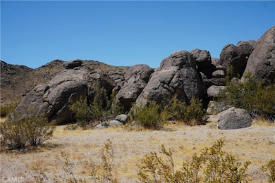 3000 Winfield Rd, Joshua Tree, CA 92252 - photo 4