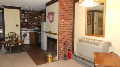 3 Fox Meadow Ln unit 3G, Dover, VT 05356 - photo 4