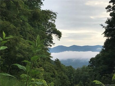 View from homesite 6