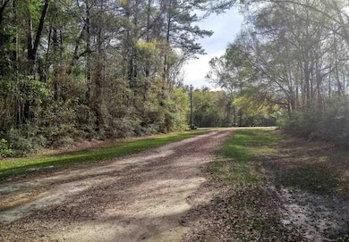 5 Oak St, Crawfordville, FL 32327 - photo 4