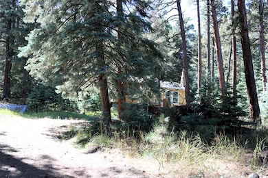 TBD Mariposa Ave, Rye, CO 81069 - photo 5