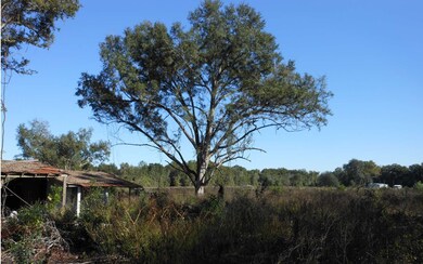 18 AC 49th Rd, Obrien, FL 32071 - photo 4