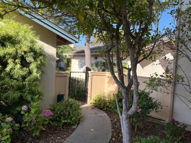 M Front Garden