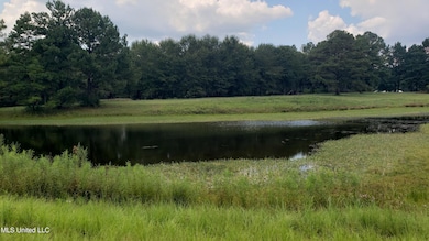 273 Vincetown Rd, Sandy Hook, MS 39478 - photo 4