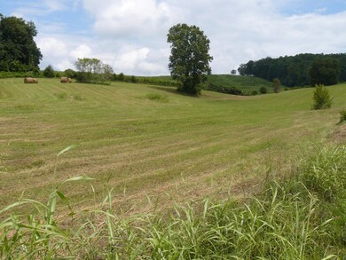 Tract 3 Holston River Dr, Rutledge, TN 37861 - photo 2