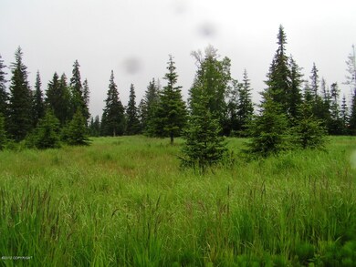 Level Land