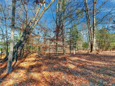 TBD Marina Dr, Surry, VA 23842 - photo 7