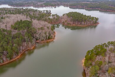 1017 Baker Davis Rd, Lincolnton, GA 30817 - photo 5