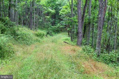 1 & 2 Ewing Dr, Baker, WV 26801 - photo 4