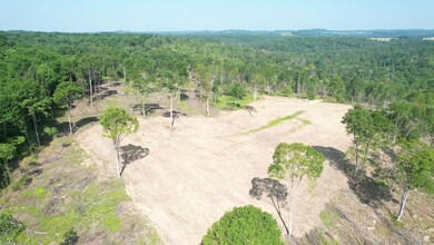 Route 580 Hwy unit 6, Cherry Tree, PA 15728 - photo 2