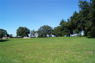 825 E Dakota Ct, Hernando, FL 34442 - photo 3