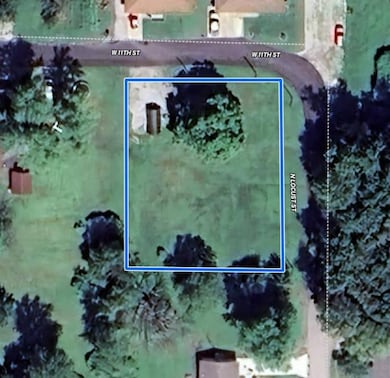 1011 N Locust St, Carrollton, MO 64633 - photo 5