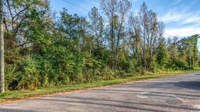Low taxes, No HOA, No MUD, No flooding!