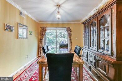 5906 Kingsford Rd unit 350, Springfield, VA 22152 - photo 6