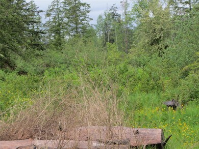 0 XXXX Loomis Trail Rd, Blaine, WA 98230 - photo 5