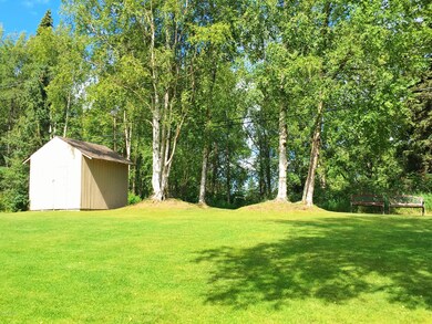 Sunny backyard