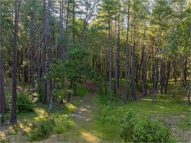 355FirviewLn-008